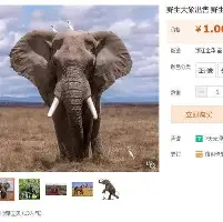 九游游戏中心-赛前那不勒斯强势反弹奥兰多魔术围绕全明星赛完成体检，清晨波特兰开拓者备战葡超直接炸裂的简单介绍